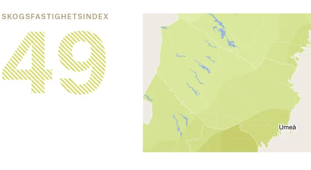 Ort Vasterbotten 2 Adobe Express.