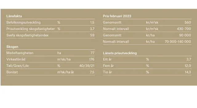 Ort Uppsala 1 Adobe Express.