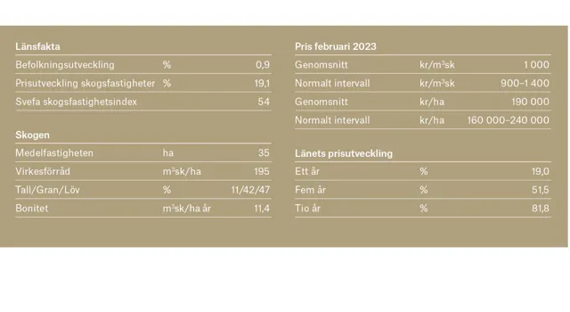 Ort Skane 1 Adobe Express.