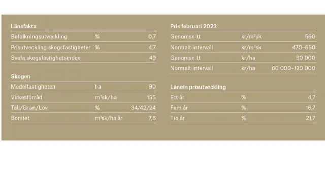 Ort Vastmanland 1 Adobe Express.