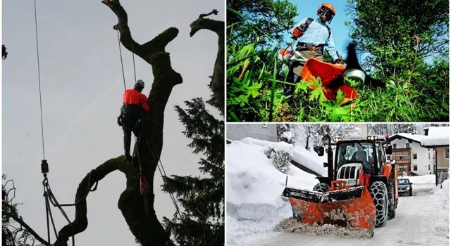 6 Tips Blank 1000 X 565 Copy 237 16.