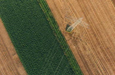 Max Boettinger 344719.