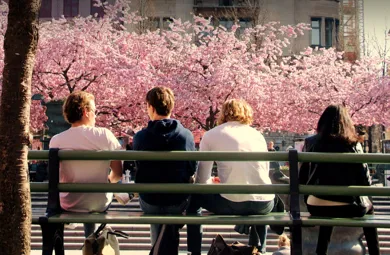 KTH ANNONS A3 Svefa Summer Internship 2023 1.