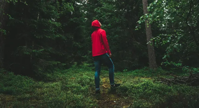 Man i röd jacka tittar på svenska tallträd.