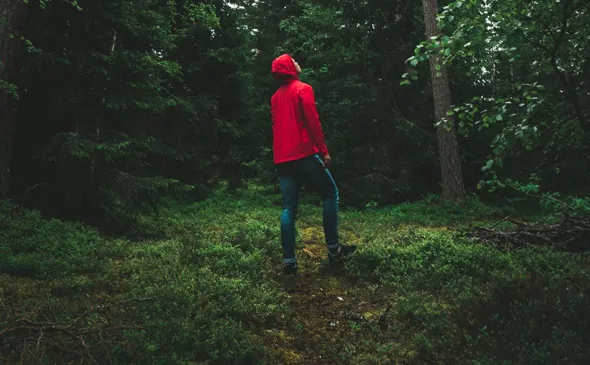 Man i röd jacka tittar på svenska tallträd.