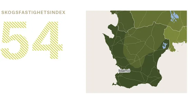 Ort Skane 2 Adobe Express.