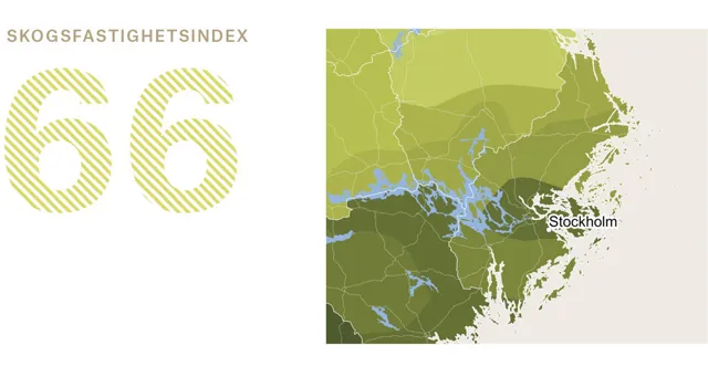 Ort Stockholm 2 Adobe Express.