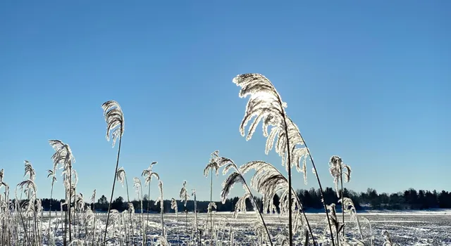 Vallentuna_naturreservat.jpg.