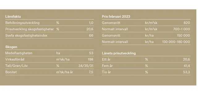 Ort Stockholm 1 Adobe Express.