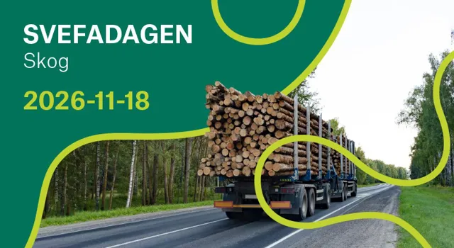 Header hemsidan.jpg.